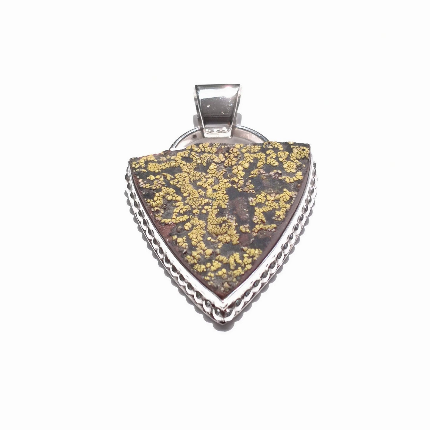 Colgante Rhizocarpon en plata de ley