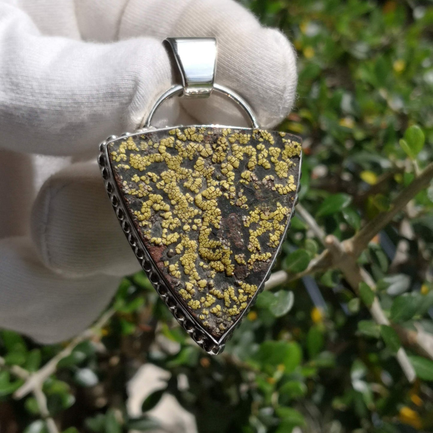 Colgante Rhizocarpon en plata de ley