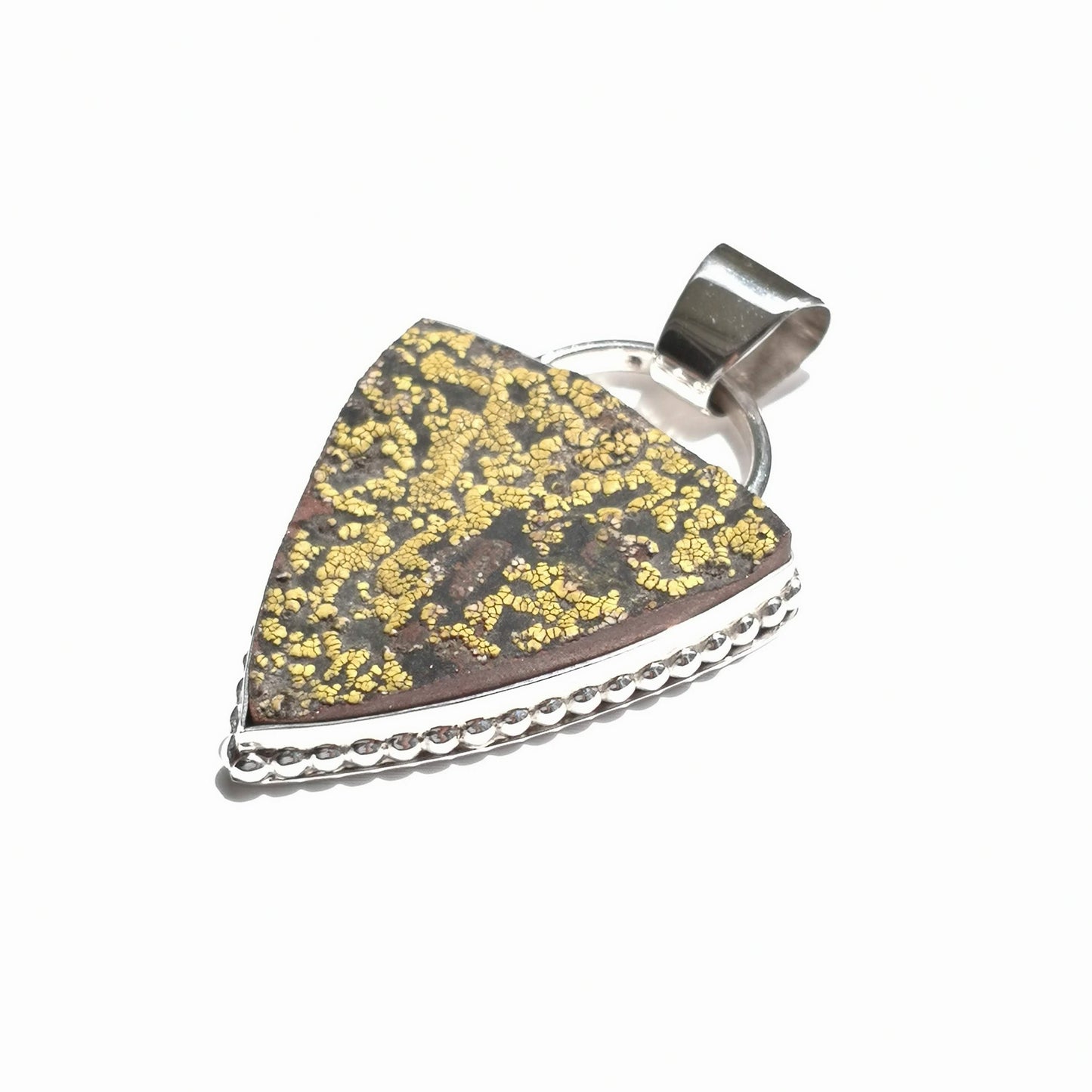 Colgante Rhizocarpon en plata de ley