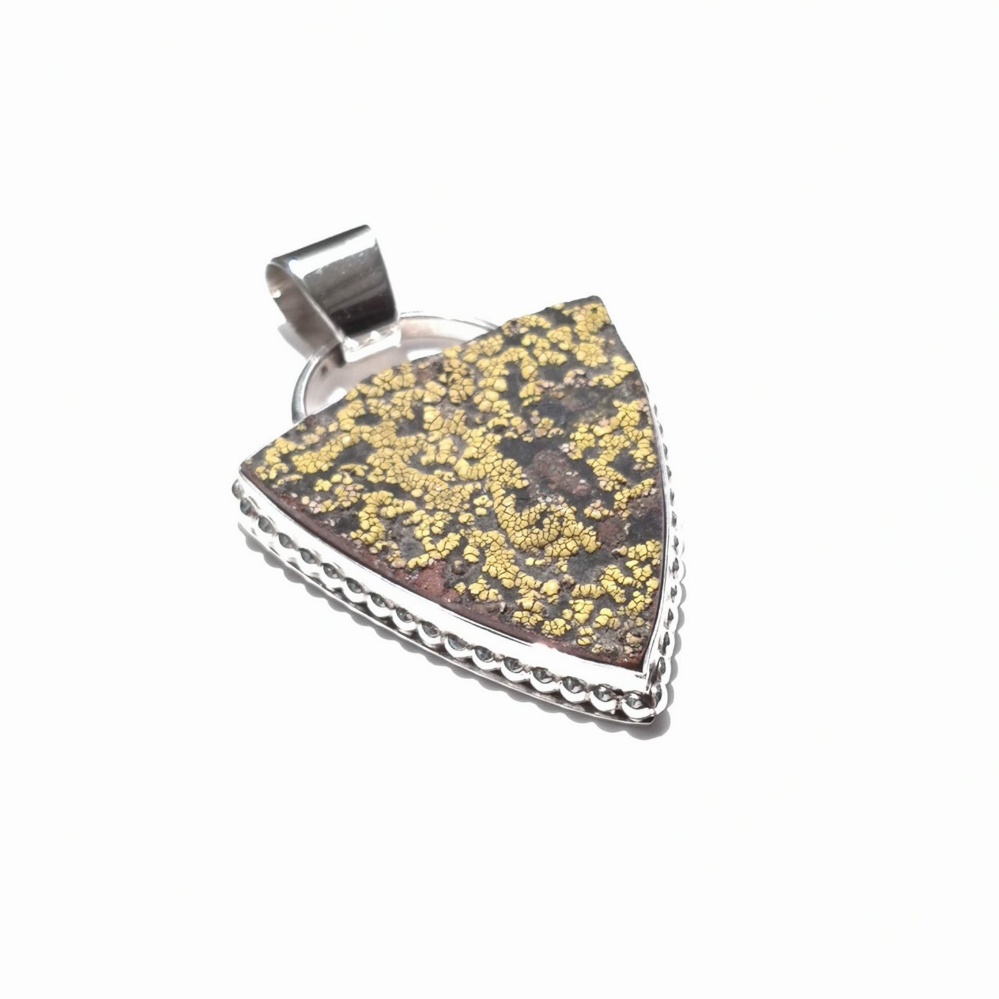 Colgante Rhizocarpon en plata de ley