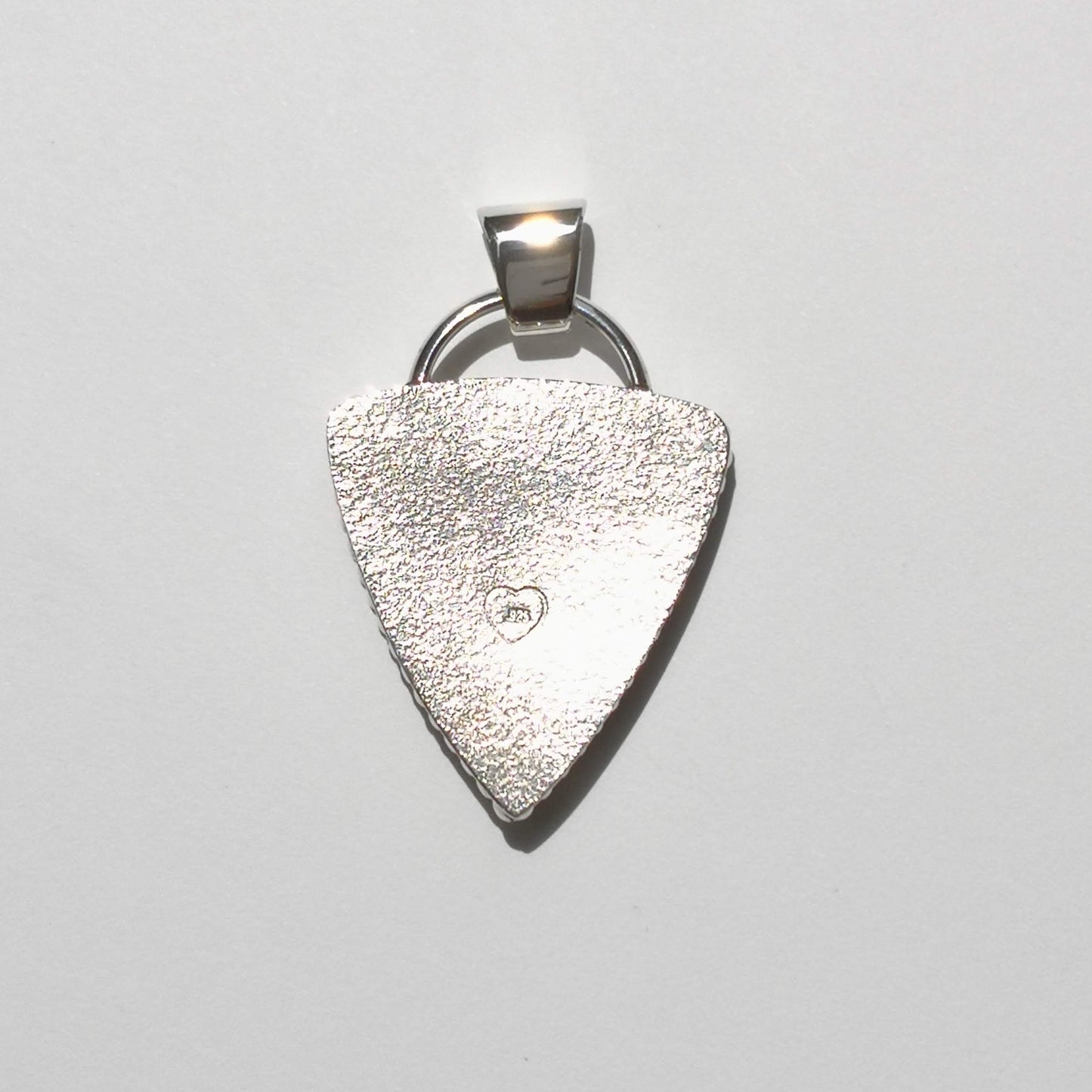 Colgante Rhizocarpon en plata de ley