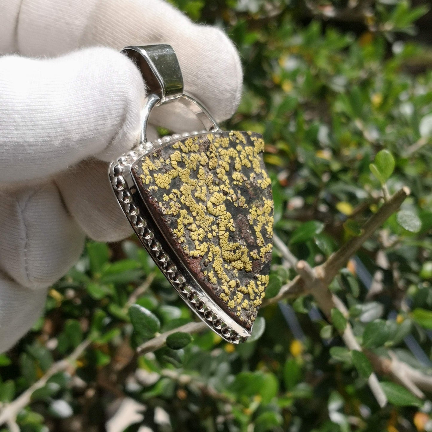Colgante Rhizocarpon en plata de ley